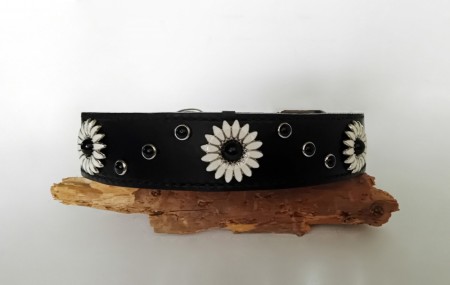 Daisy IIII